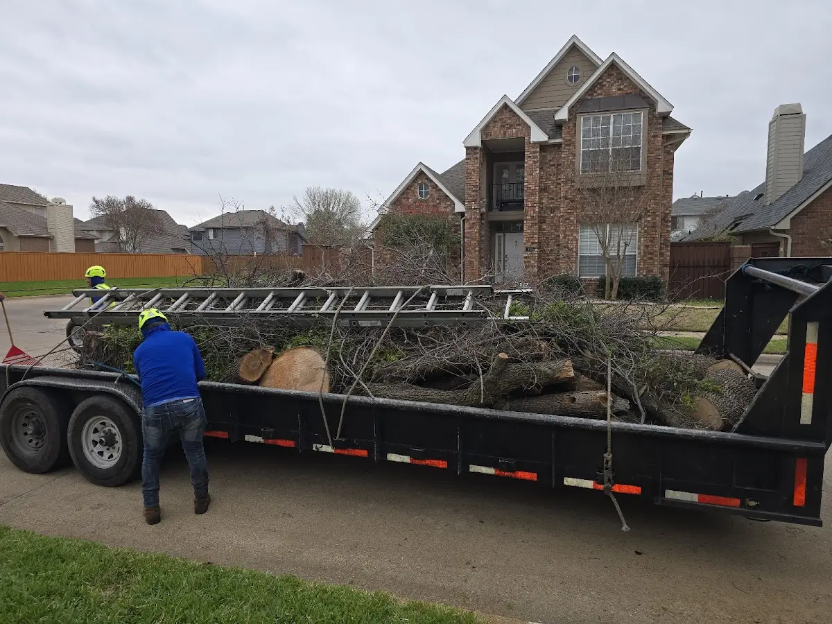 Expert Tree Removal with proper safety equipment in Etna Green